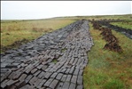 Peat